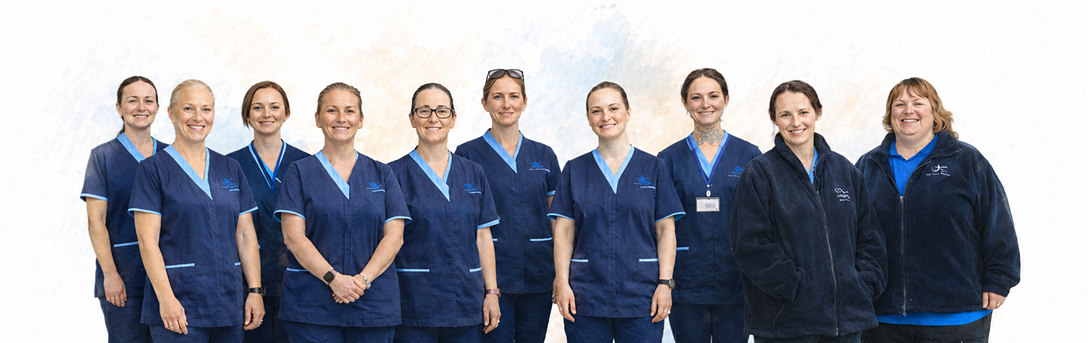 E2K Care Agency team of professional carers standing together in uniform Braintree